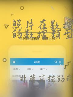 照片在数据库中的数据类型