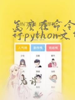 怎么在命令行运行python文件