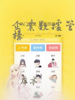 企业数据管理架构