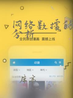 网络数据的统计分析