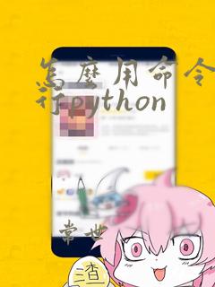 怎么用命令行运行python