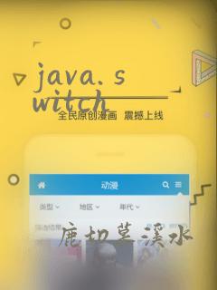 java. switch