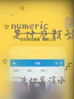 numeric是什么类型数据