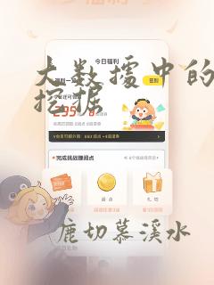 大数据中的数据挖掘