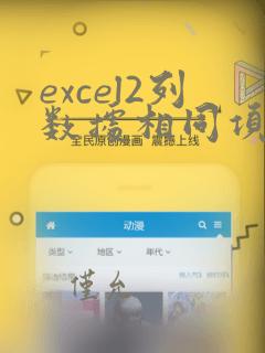 excel2列数据相同项