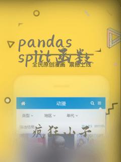 pandas split函数