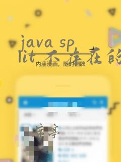 java split 不存在的字符