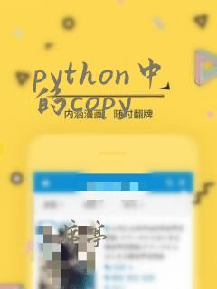 python中的copy