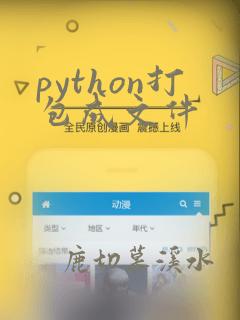 python打包成文件