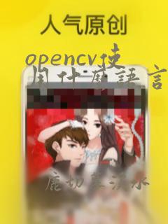 opencv使用什么语言实现