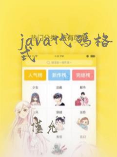 java代码格式