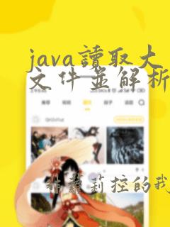 java读取大文件并解析入库