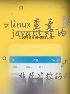 linux查看java进程内存占用情况