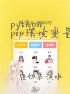 python pip环境变量配置