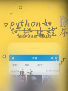 python如何终止程序运行