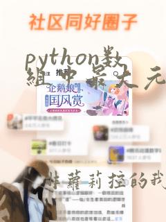python数组中最大元素的位置