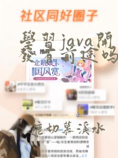 学习java开发有前途吗