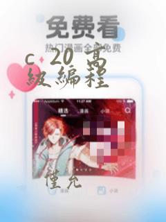 c  20 高级编程