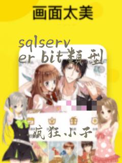 sqlserver bit类型