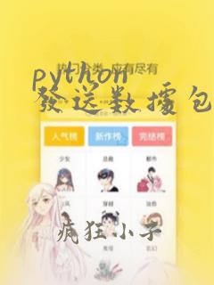 python 发送数据包