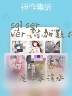 sql server 附加数据库