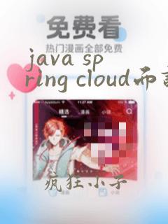 java spring cloud面试题