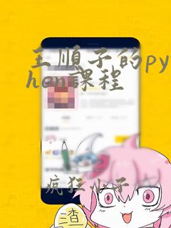 王顺子的python课程