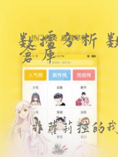 数据分析 数据仓库