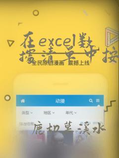 在excel数据清单中按一字段内容进行归类