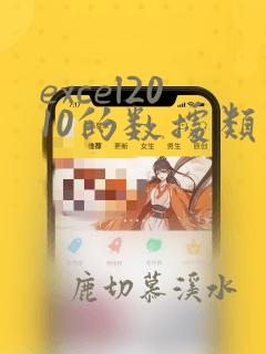 excel2010的数据类型包括