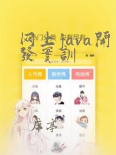 网上java开发实训