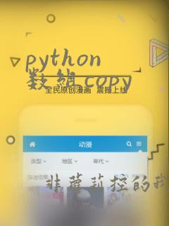 python 数组copy
