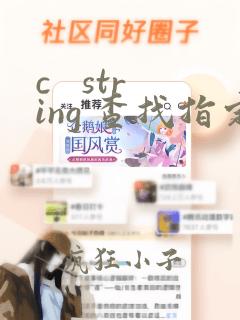 c string 查找指定字符
