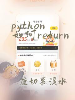 python 如何return