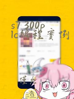 s7 300plc编程实例