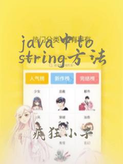 java中tostring方法