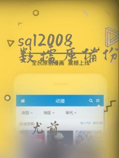 sql2008数据库备份方法