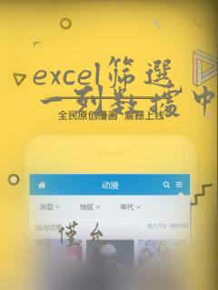 excel筛选一列数据中特定的几个数