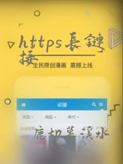 https长链接
