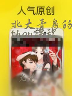 北大青鸟的python课程