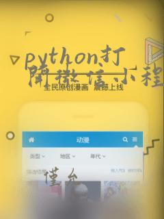 python打开微信小程序