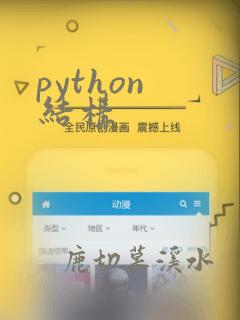 python 结构