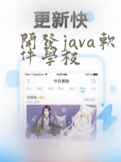 开发java软件学校