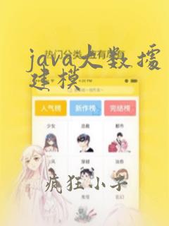 java大数据建模