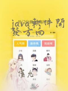 java软件开发方向