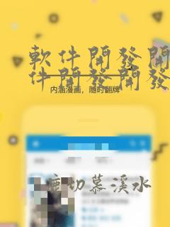 软件开发开发软件开发开发