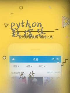 python 数据集