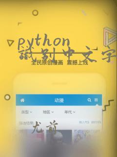 python 识别中文字符