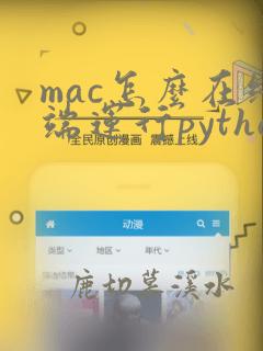 mac怎么在终端运行python