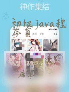 初级java程序员